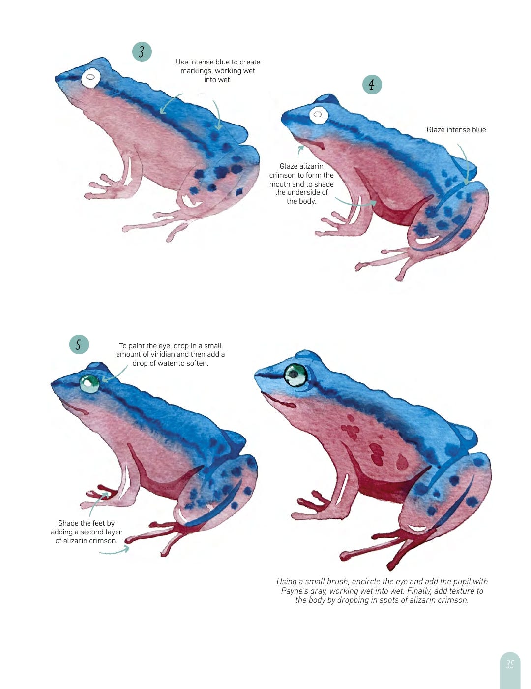 Paint 50 Watercolour Animals Book