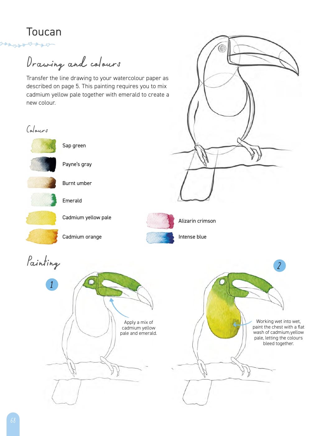Paint 50 Watercolour Animals Book