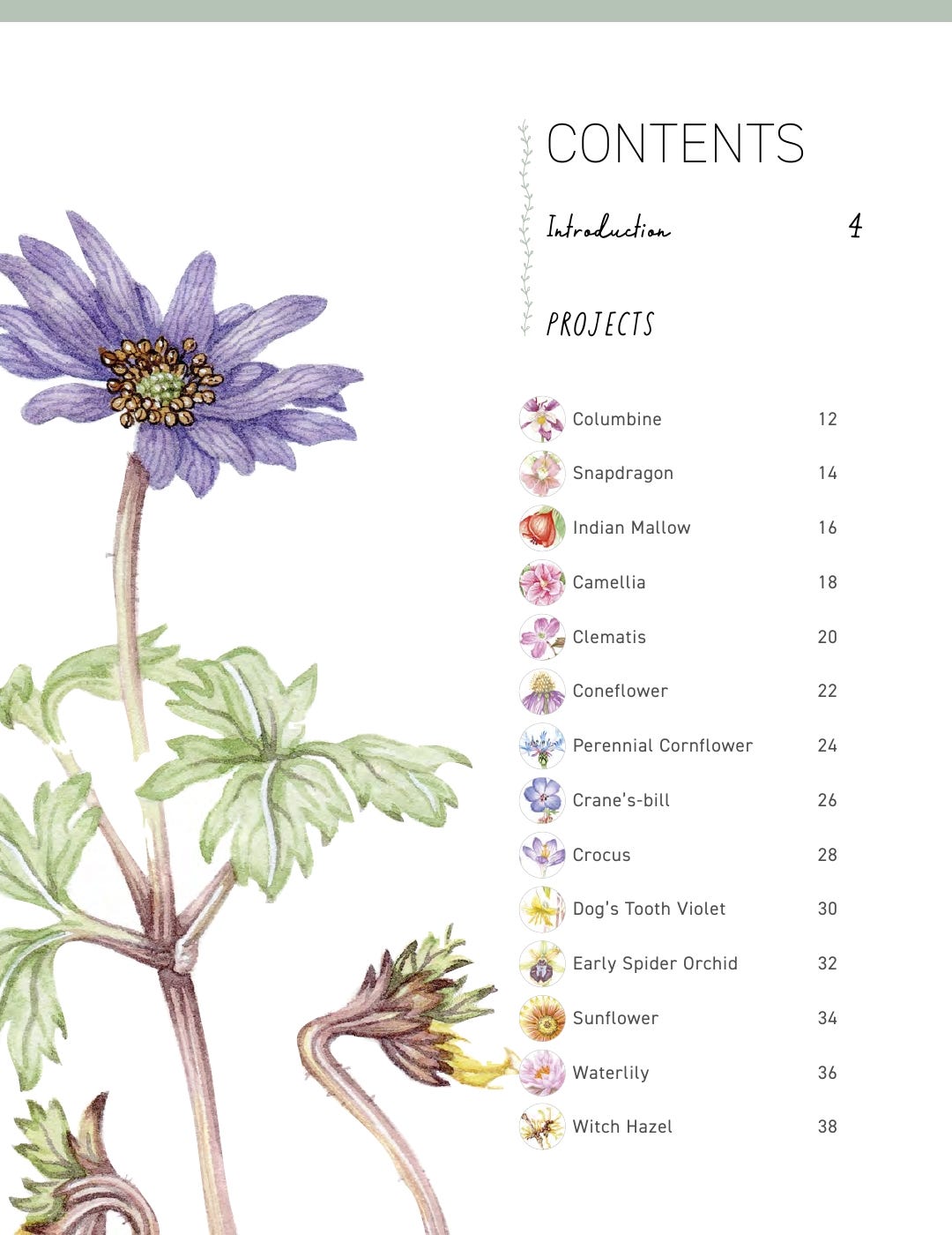 Paint 50 Watercolour Flowers Book