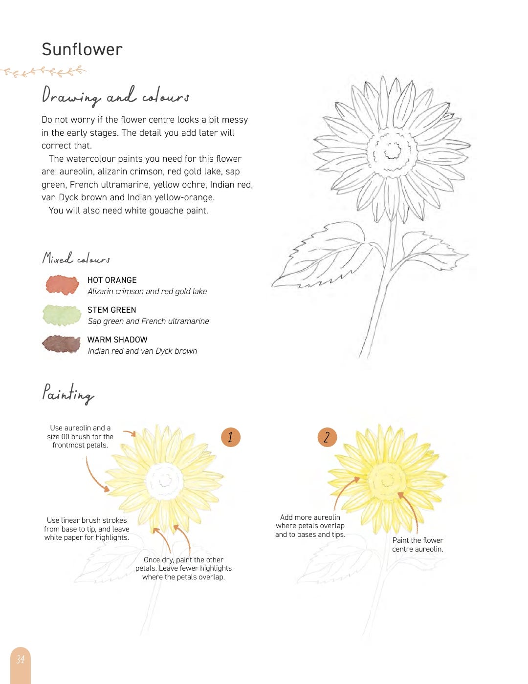 Paint 50 Watercolour Flowers Book