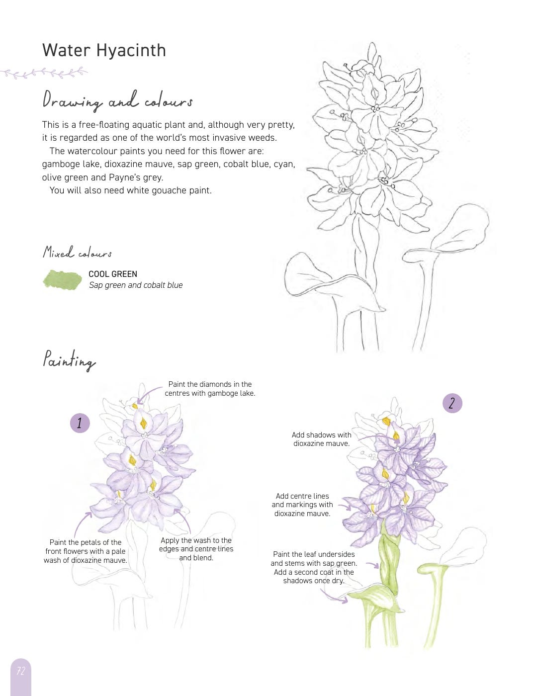 Paint 50 Watercolour Flowers Book