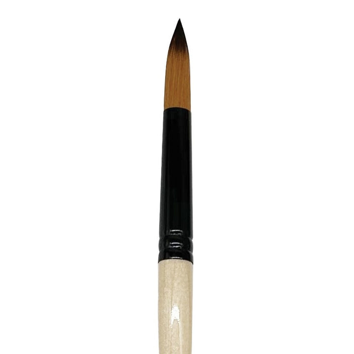 Dynasty Black Gold Synthetic Round Brushes