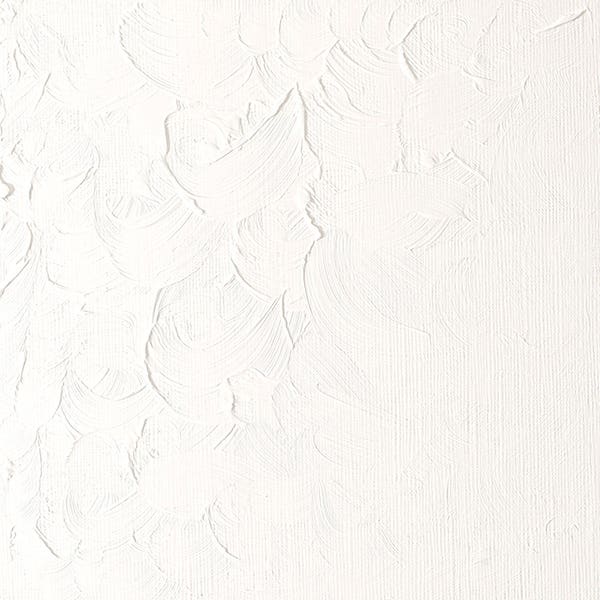 Winsor & Newton Winton Oil Paints 200ml