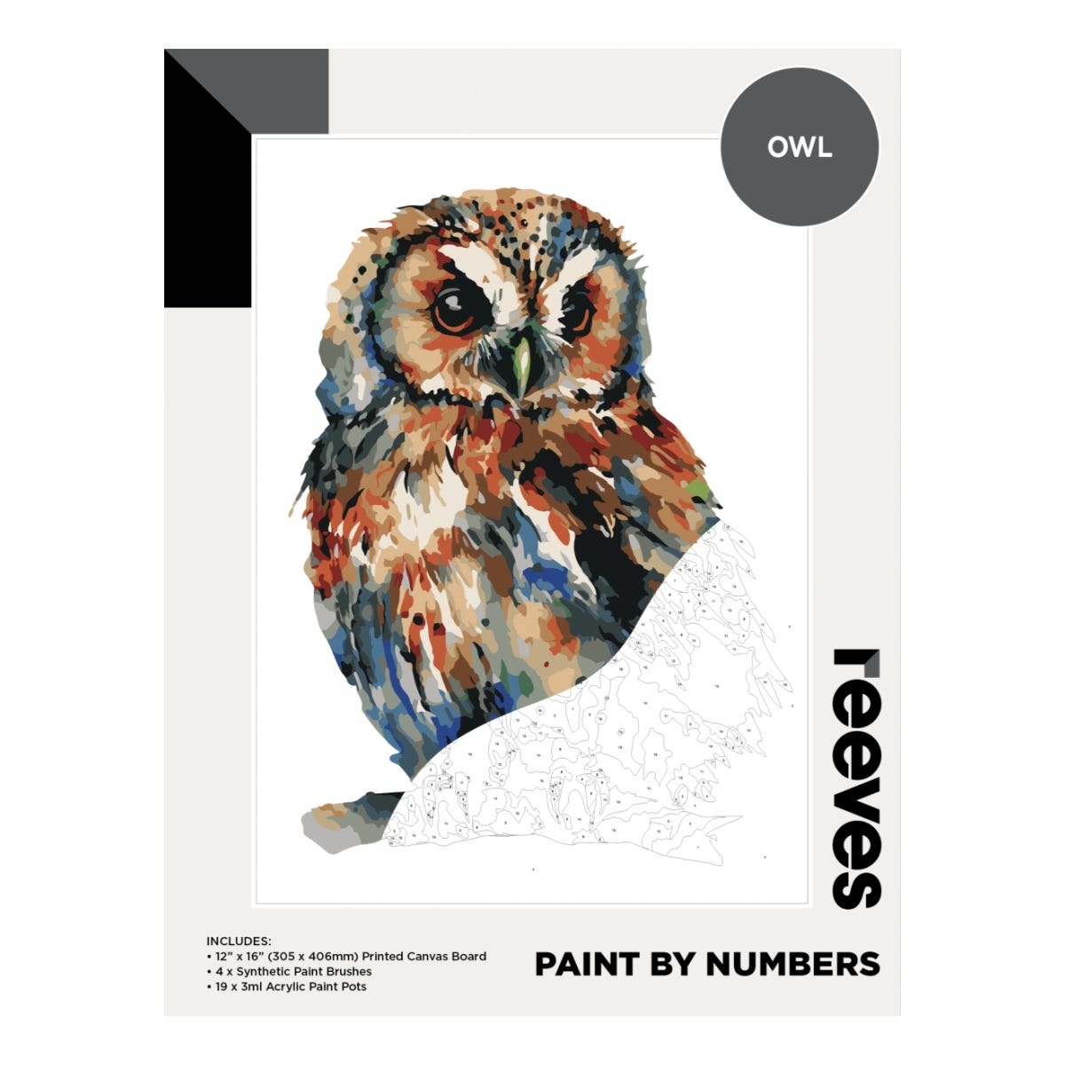 Reeves Artist Acrylic Paint by Numbers Owl