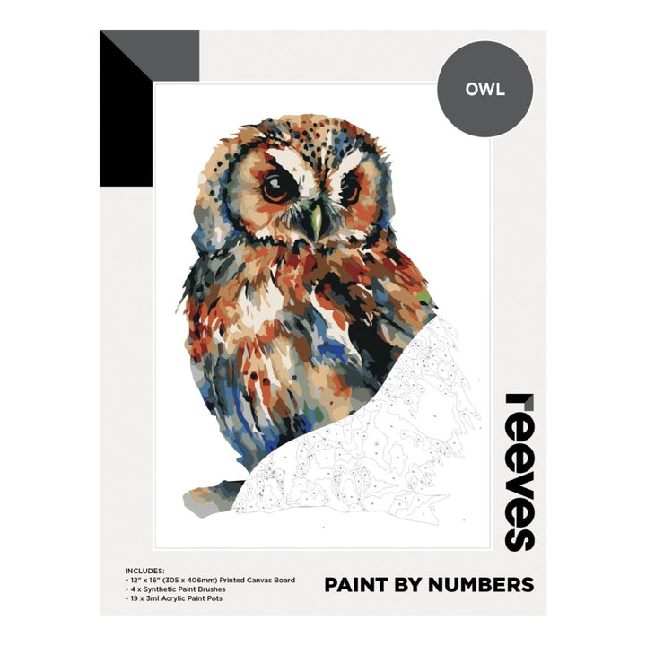 Reeves Artist Acrylic Paint by Numbers Owl