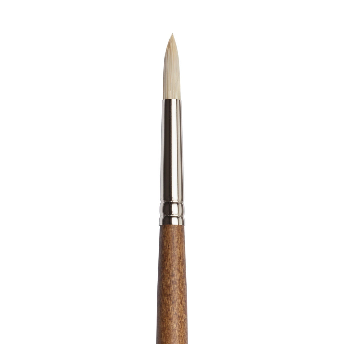 Winsor & Newton Artists' Oil Synthetic Hog Round Brushes