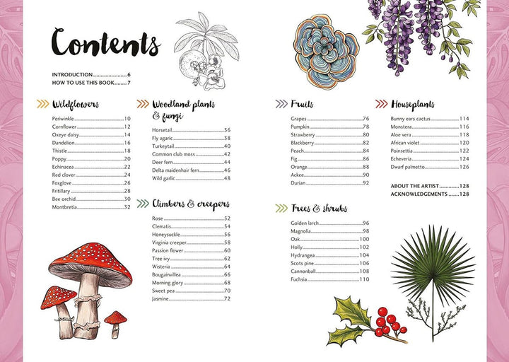 10 Step Drawing Botanicals Book