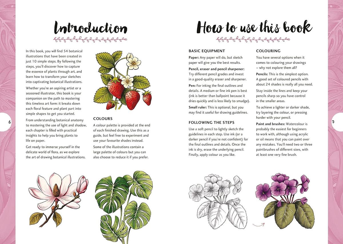 10 Step Drawing Botanicals Book
