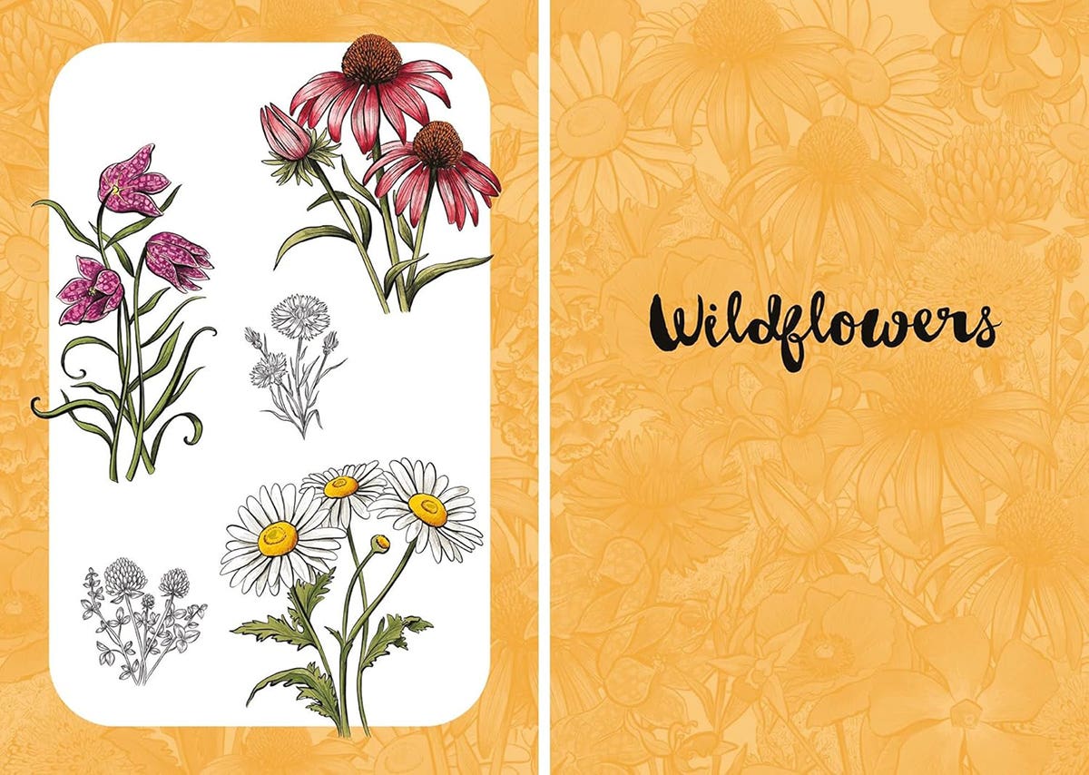 10 Step Drawing Botanicals Book