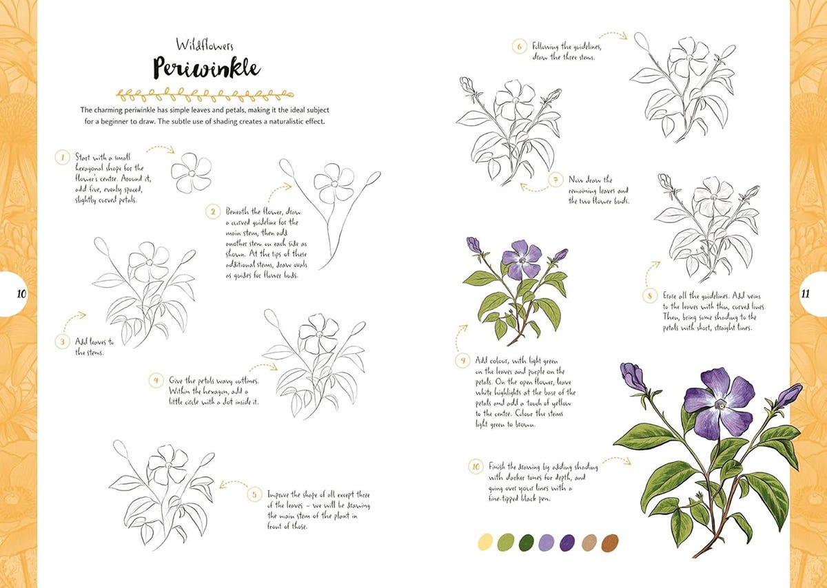 10 Step Drawing Botanicals Book