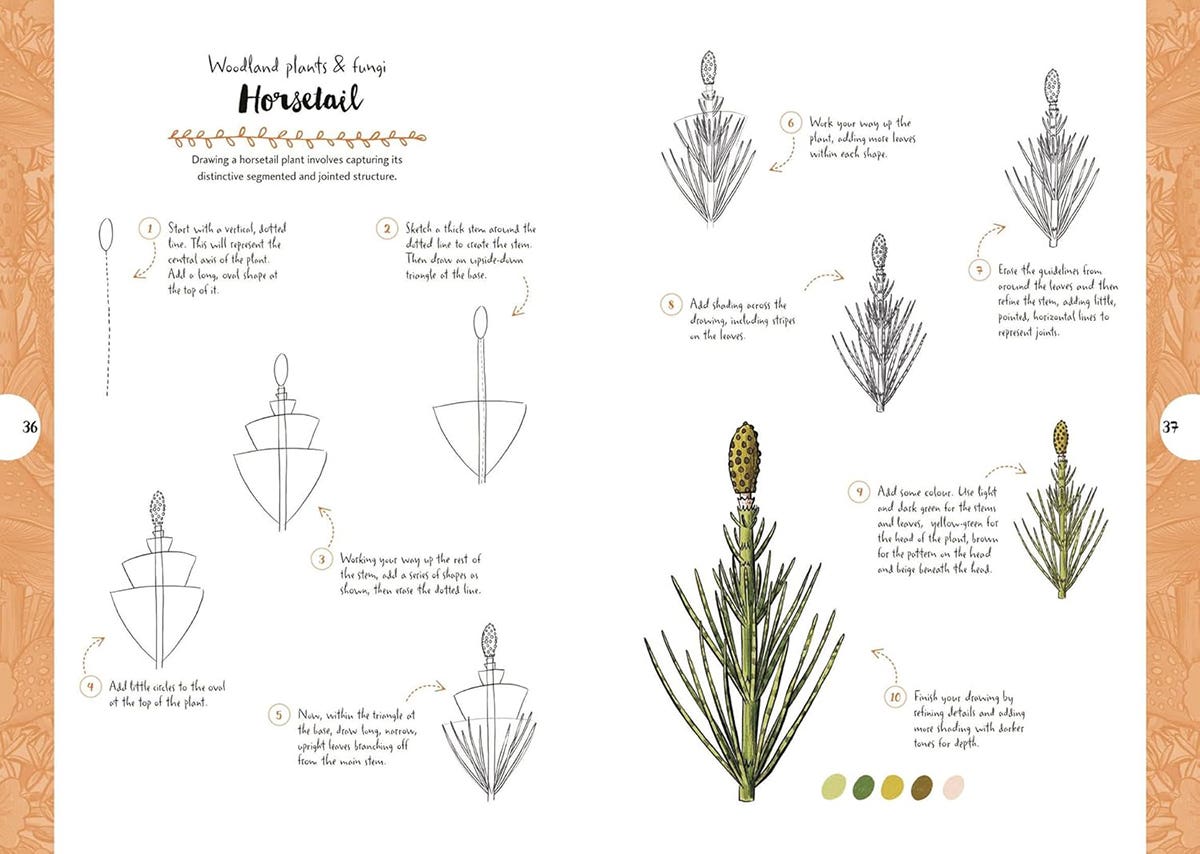 10 Step Drawing Botanicals Book