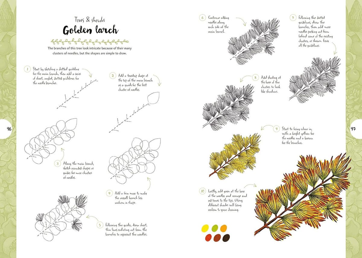 10 Step Drawing Botanicals Book