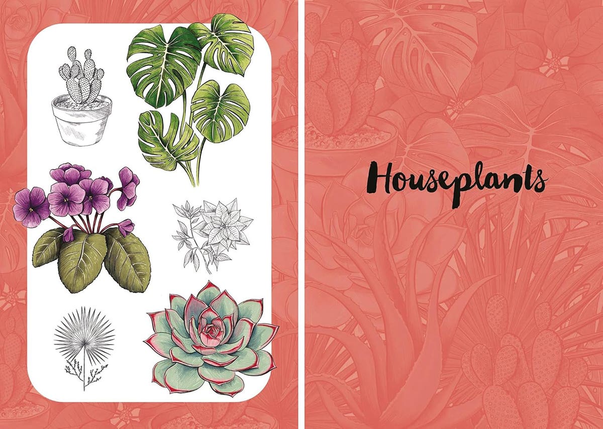 10 Step Drawing Botanicals Book