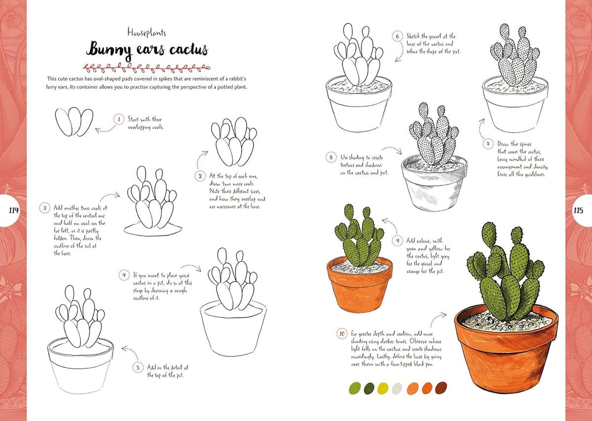10 Step Drawing Botanicals Book