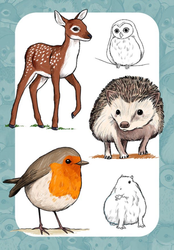 10 Step Drawing Cute Animals Book