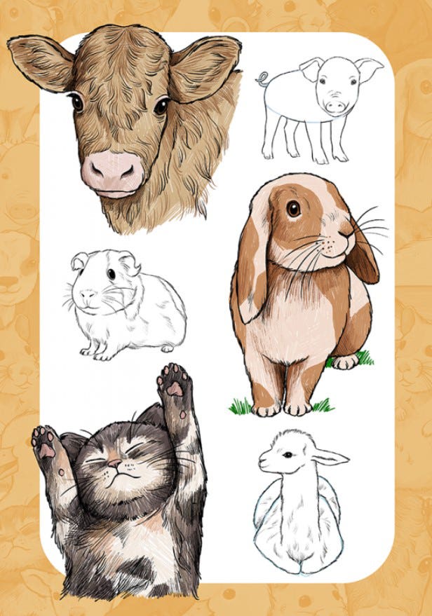 10 Step Drawing Cute Animals Book
