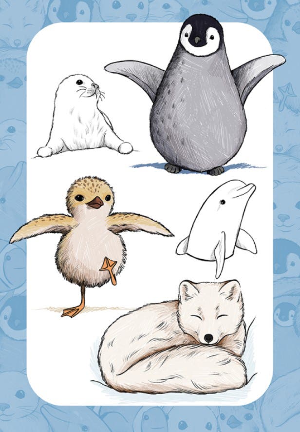 10 Step Drawing Cute Animals Book