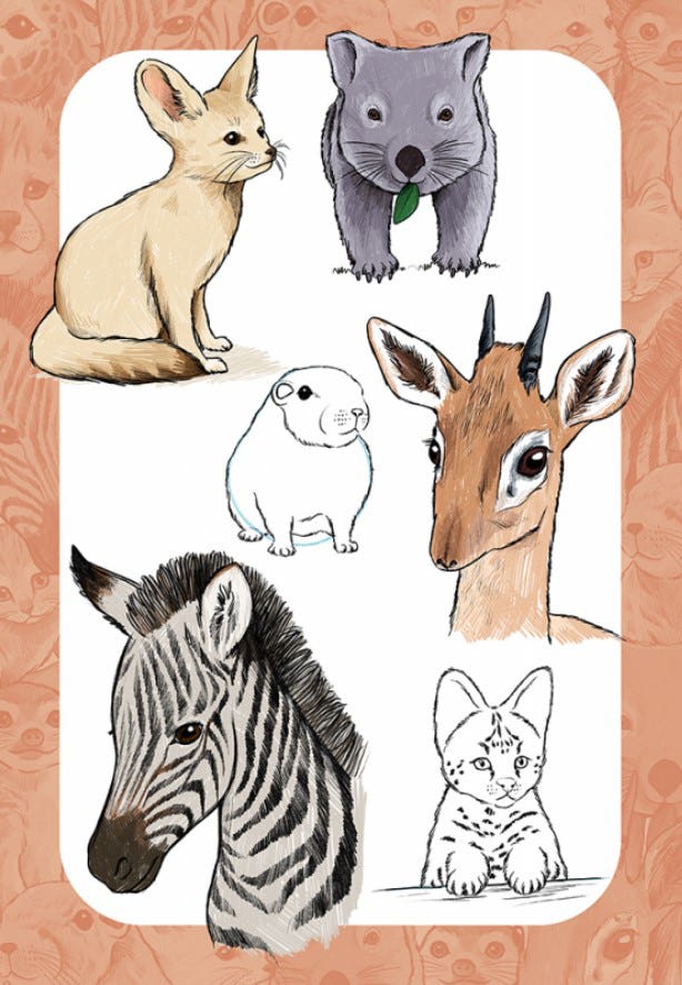10 Step Drawing Cute Animals Book
