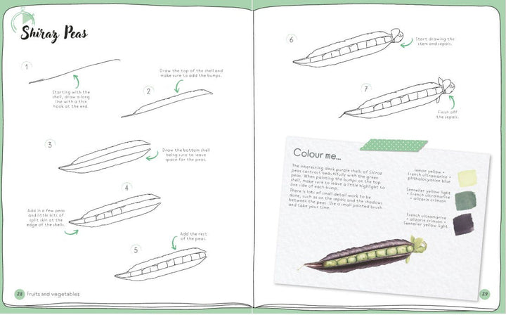 Draw In 10 Minutes Botanicals Book