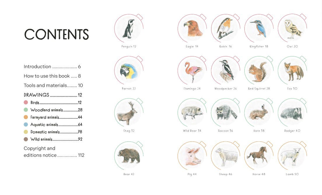 Draw In 10 Minutes Animals Book
