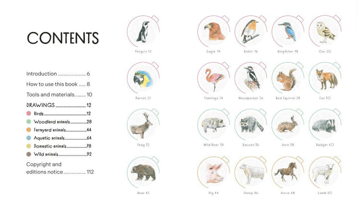 Draw In 10 Minutes Animals Book