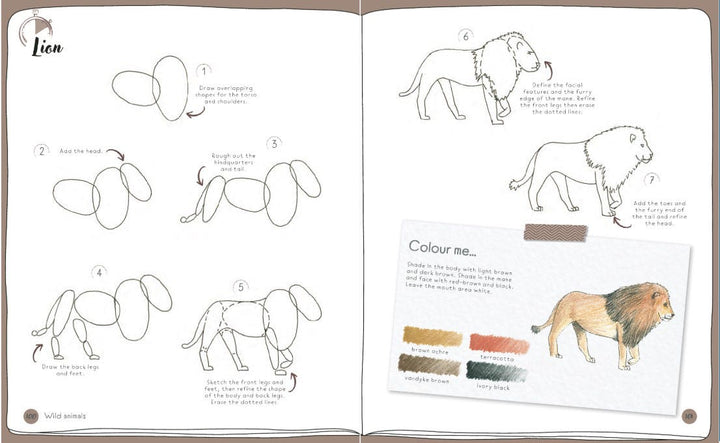 Draw In 10 Minutes Animals Book