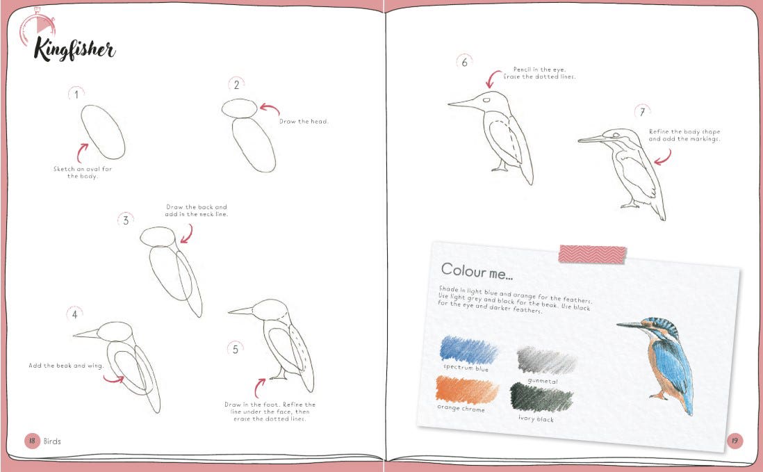 Draw In 10 Minutes Animals Book