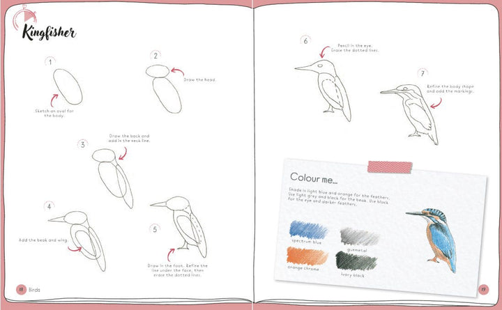Draw In 10 Minutes Animals Book