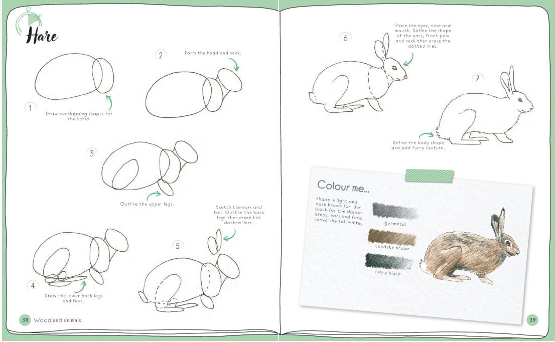 Draw In 10 Minutes Animals Book