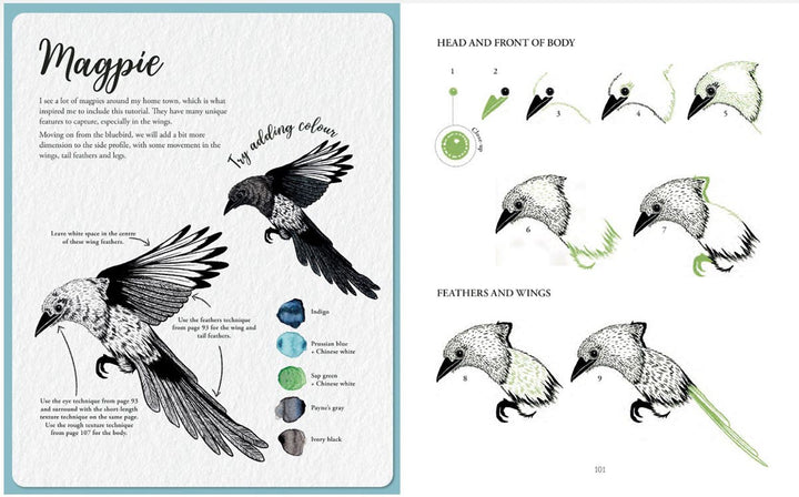 The Kew Book Of Drawing Flora & Fauna Book