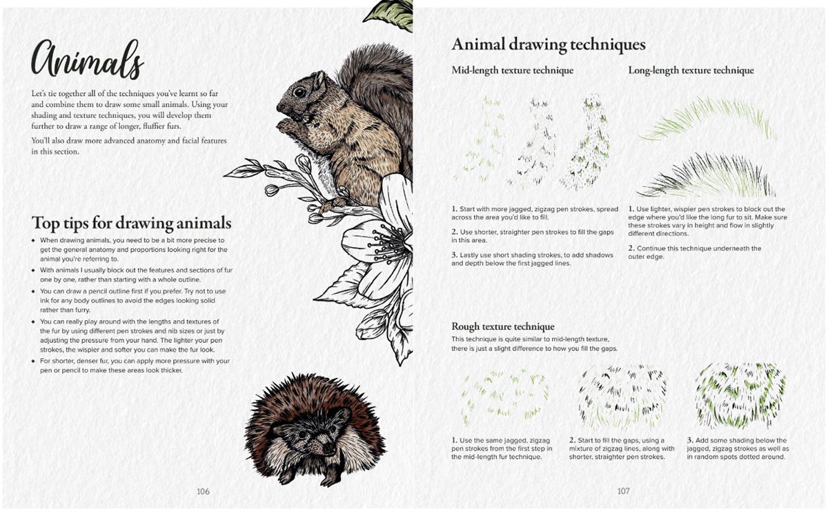 The Kew Book Of Drawing Flora & Fauna Book