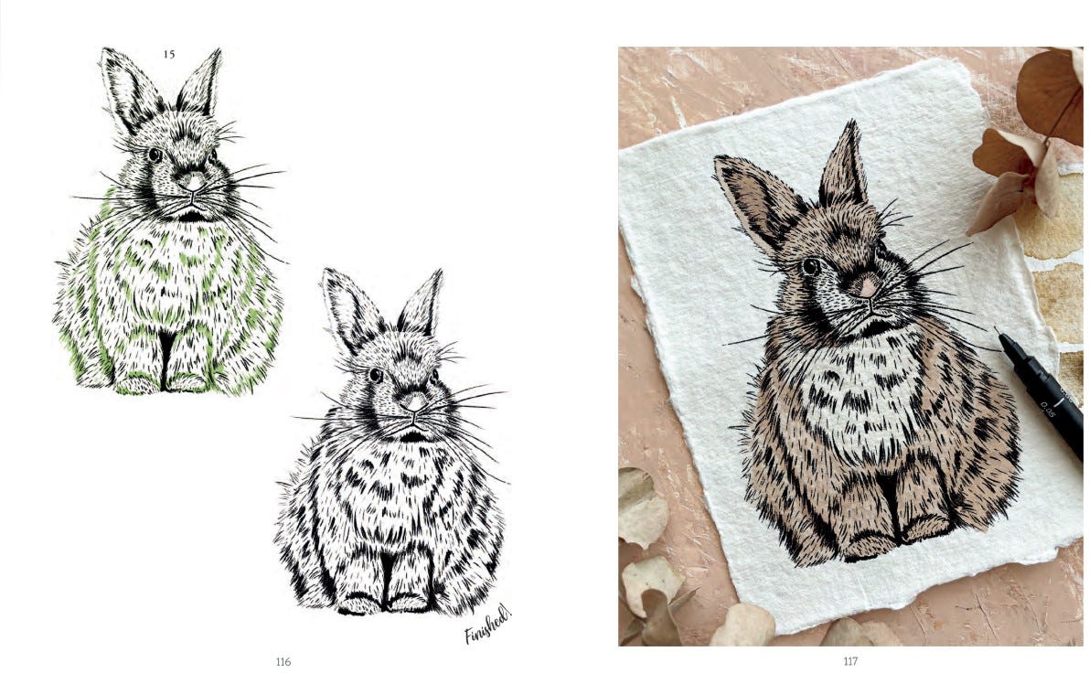 The Kew Book Of Drawing Flora & Fauna Book