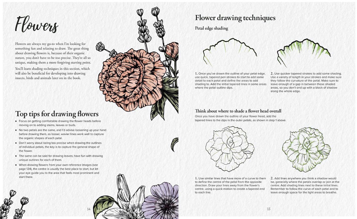 The Kew Book Of Drawing Flora & Fauna Book