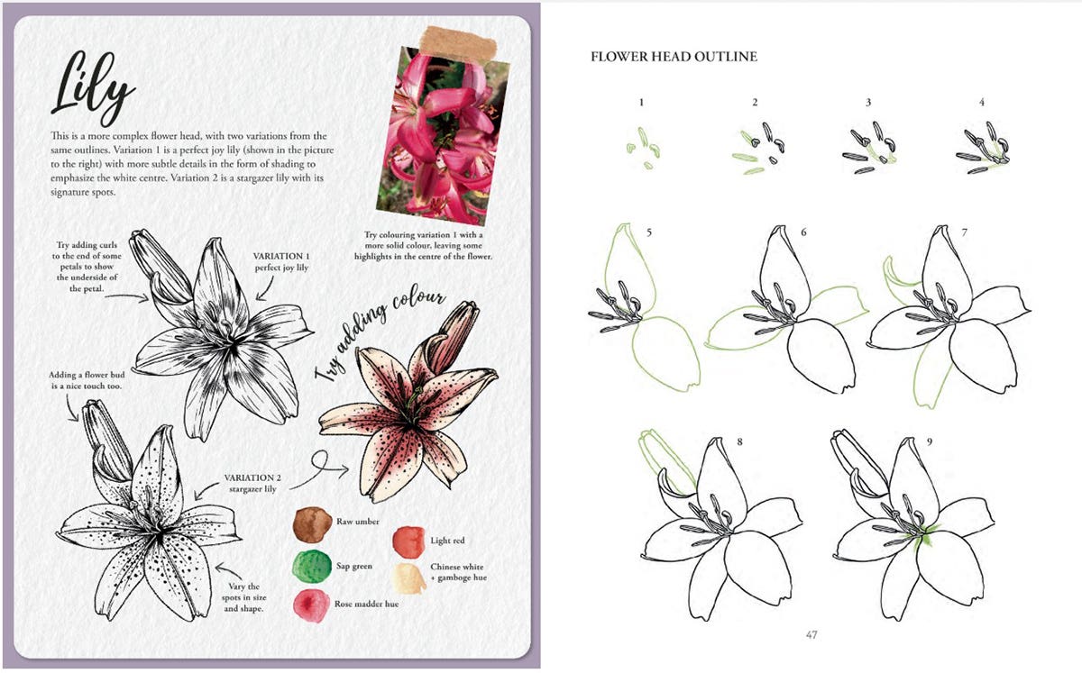 The Kew Book Of Drawing Flora & Fauna Book