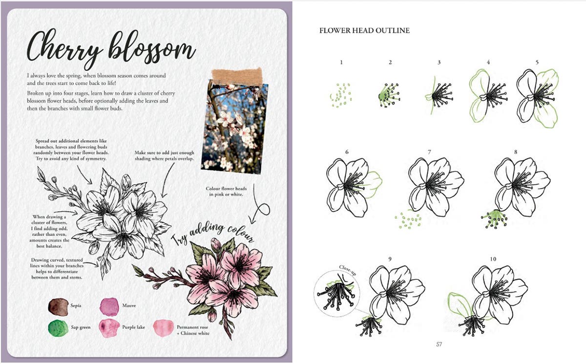 The Kew Book Of Drawing Flora & Fauna Book