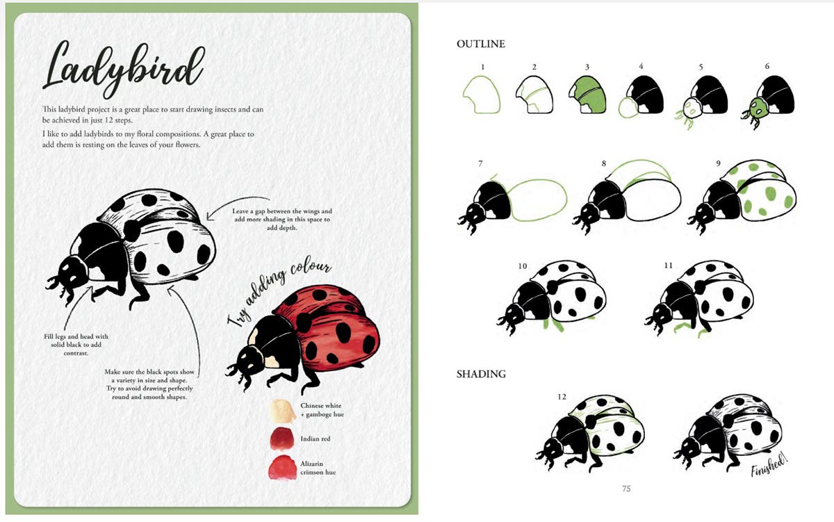 The Kew Book Of Drawing Flora & Fauna Book
