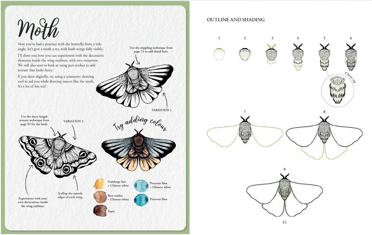 The Kew Book Of Drawing Flora & Fauna Book
