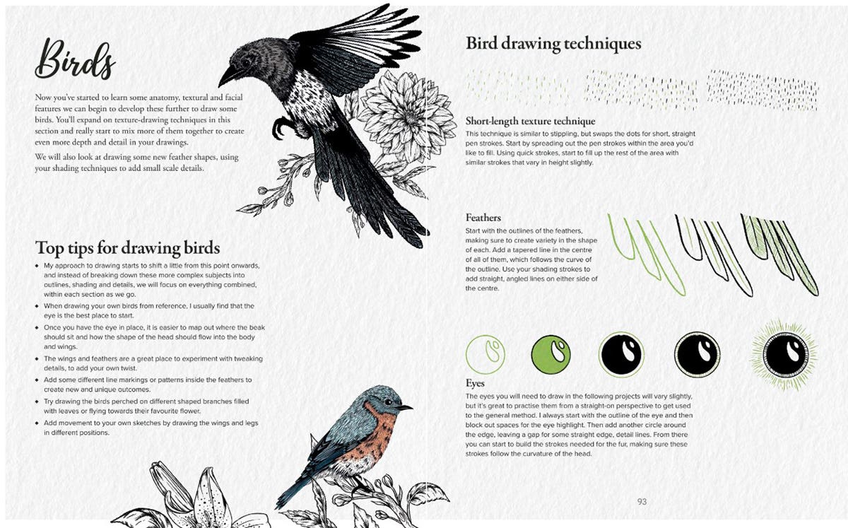 The Kew Book Of Drawing Flora & Fauna Book