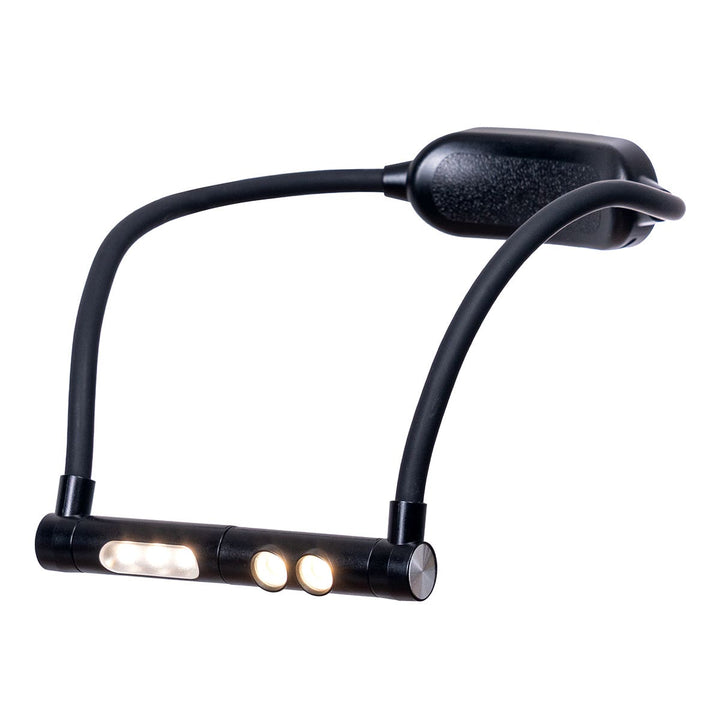 Daylight Duoneck Go Lamp