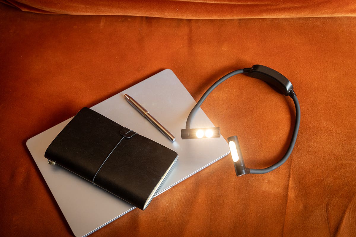 Daylight Duoneck Go Lamp