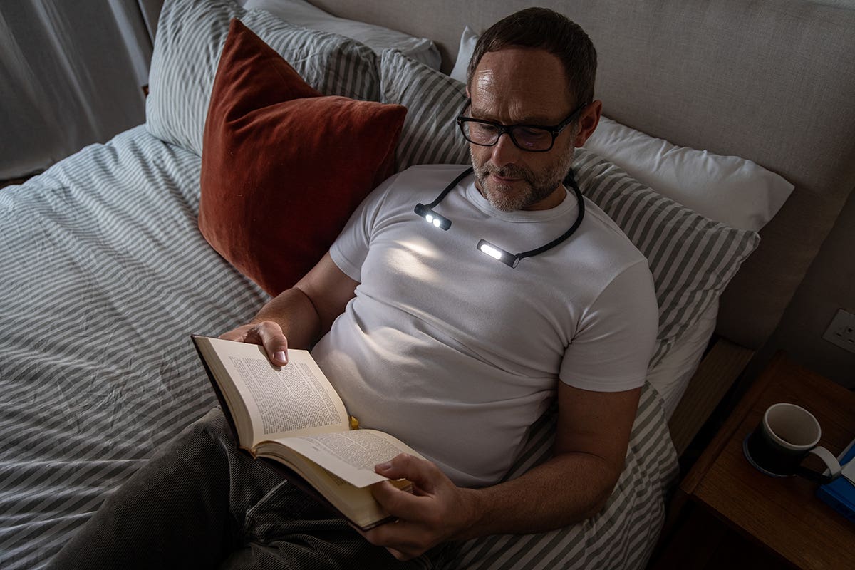 Daylight Duoneck Go Lamp