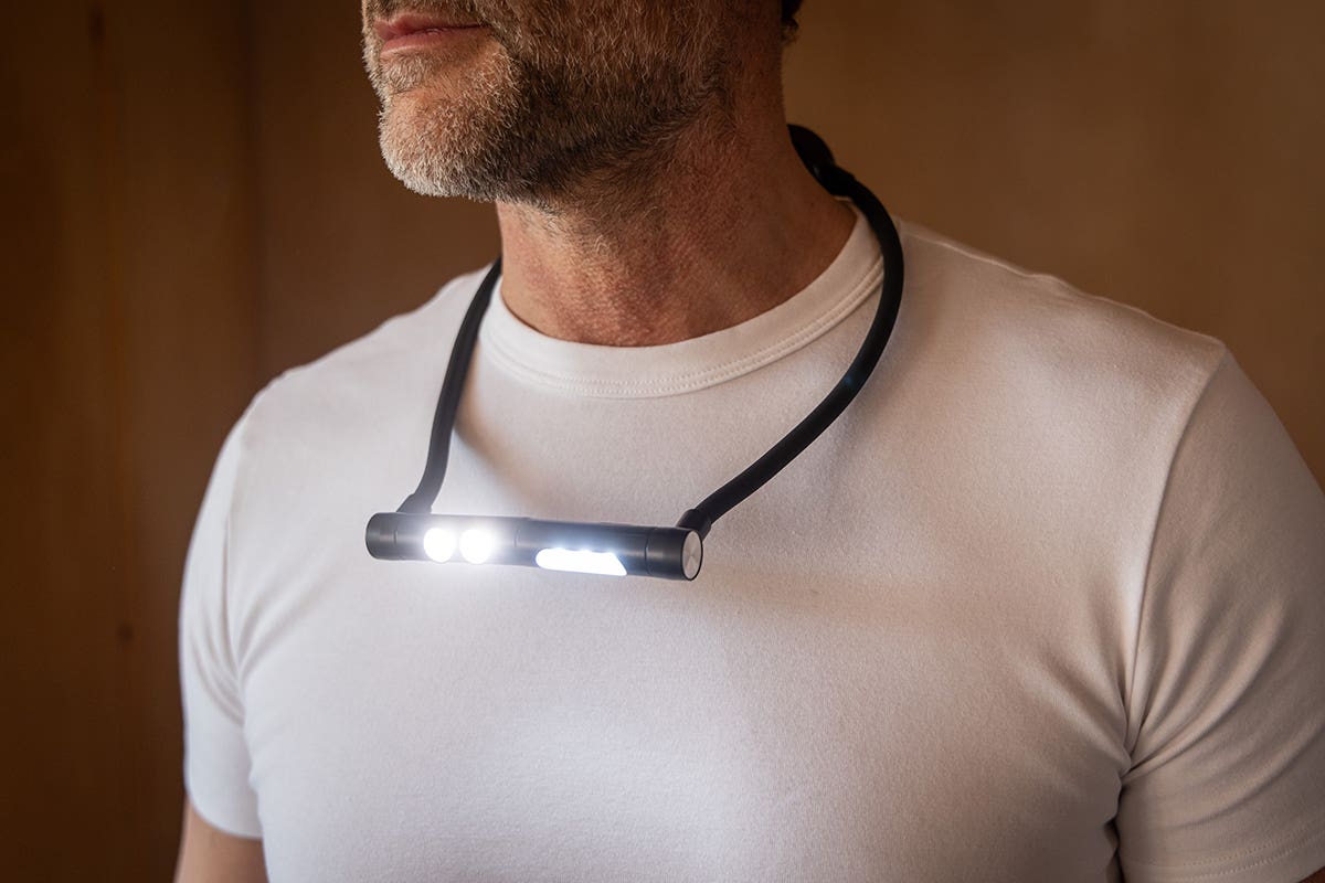Daylight Duoneck Go Lamp