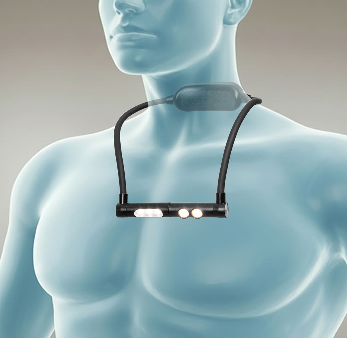 Daylight Duoneck Go Lamp