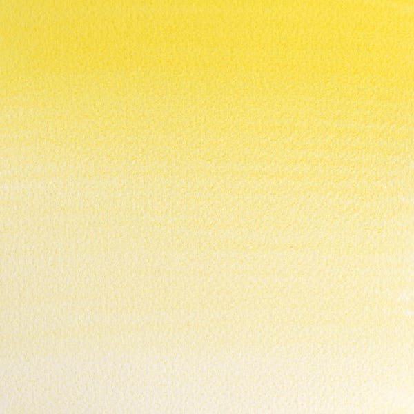 Winsor & Newton Professional Watercolour Paints 14ml