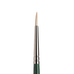 Winsor & Newton Winton Hog Round Brushes