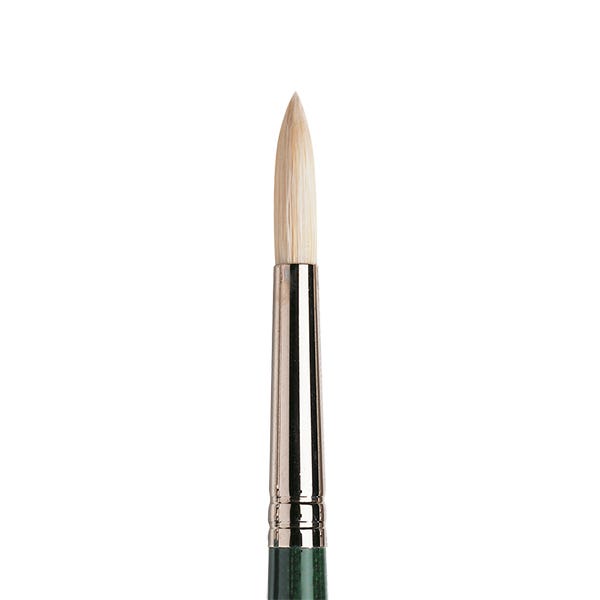 Winsor & Newton Winton Hog Round Brushes