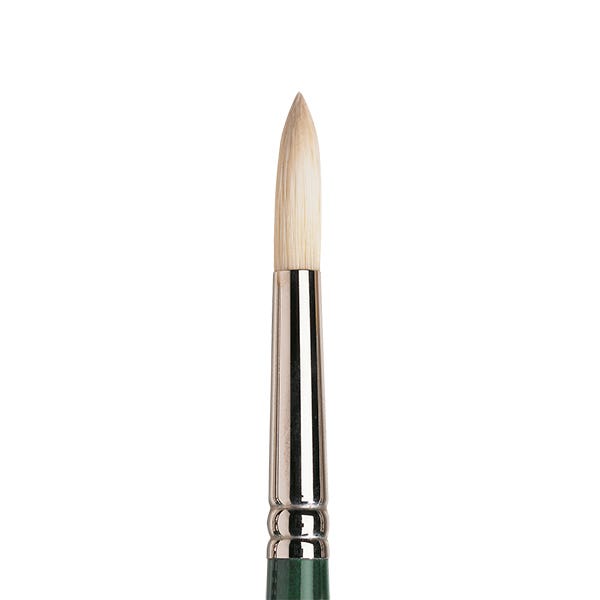 Winsor & Newton Winton Hog Round Brushes