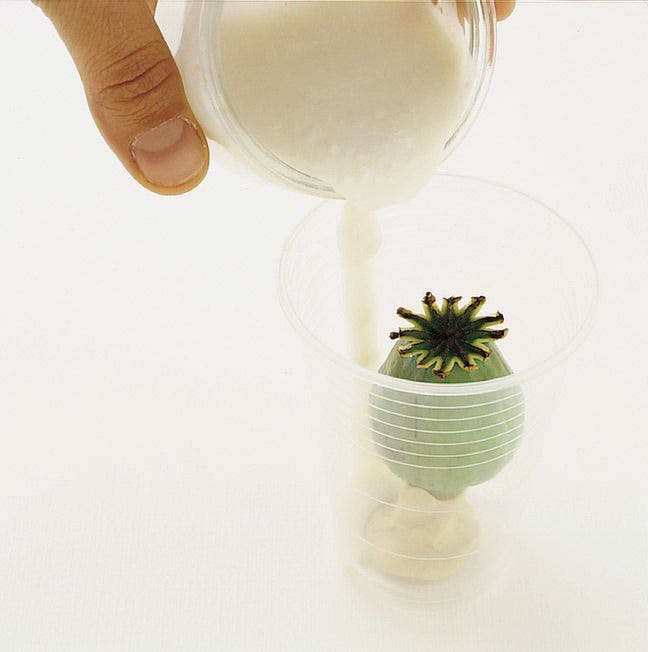 Pebeo Gedeo Moulding Alginate