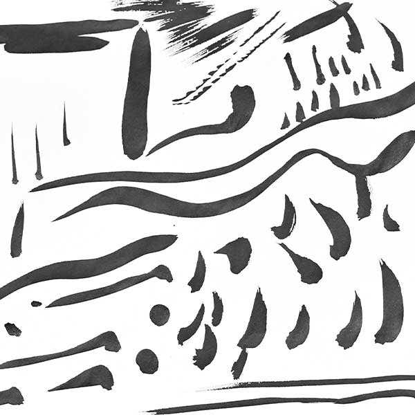 NAM Rice Paper