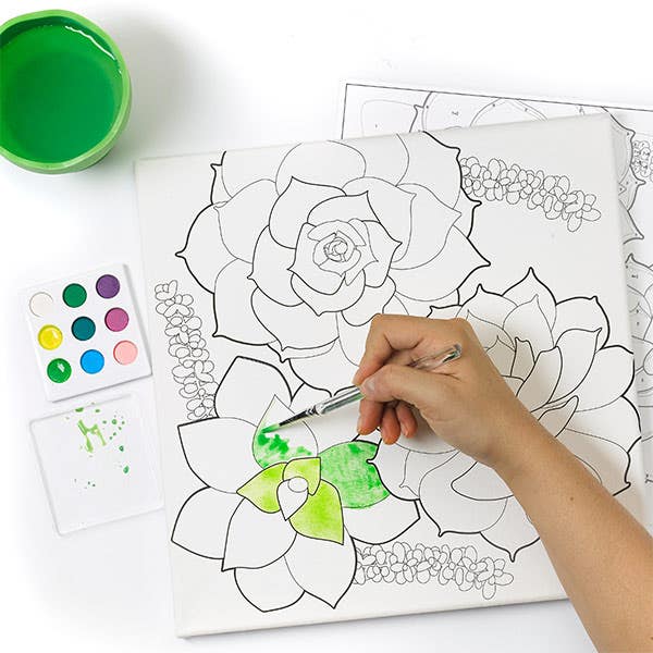 Faber-Castell Watercolour Paint By Numbers (Succulents)